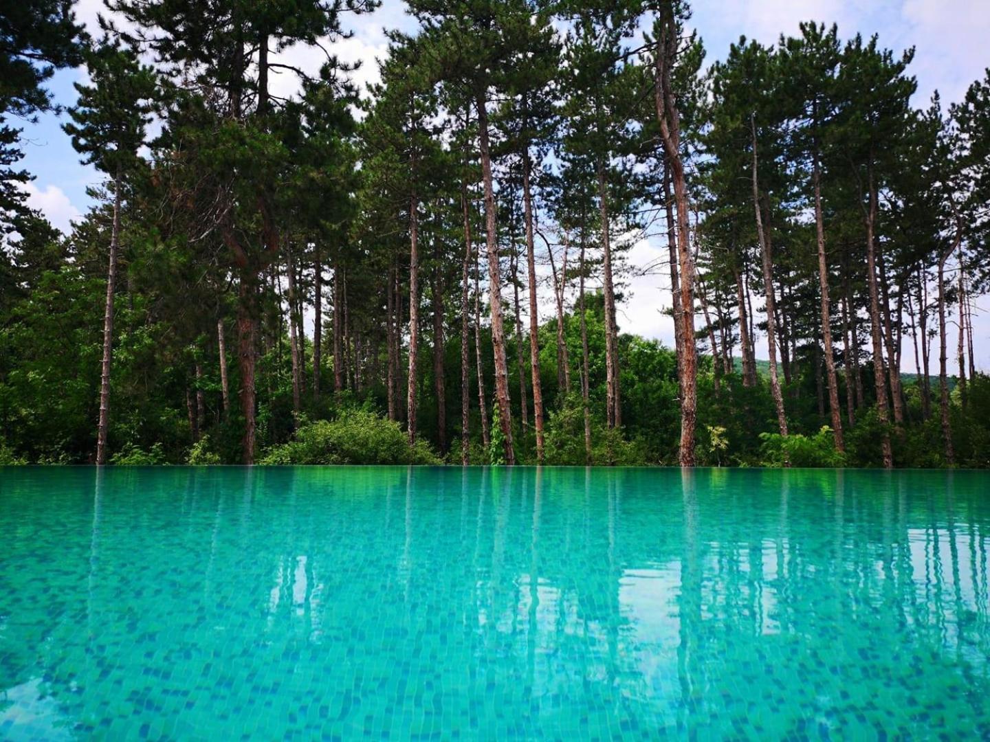 D Villa Mineralni Bani Bagian luar foto